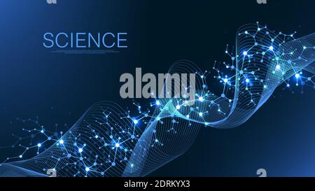 Scientific molecule background for medicine, science, technology, chemistry. Wallpaper or banner with a DNA molecules, DNA digital, sequence, code Stock Vector