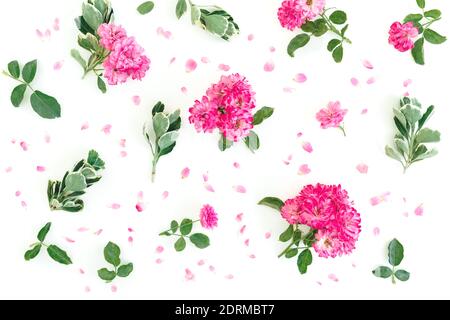 Floral pattern of pink roses flowers and green leaves on white background. Flat lay, Top view Stock Photo