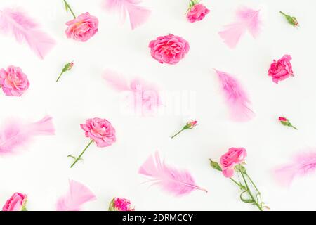 Floral pattern with pink roses and feathers on white background. Flat lay, top view. Stock Photo