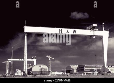 The Samson (furthest) and Goliath iconic gantry cranes at Harland & Wolff shipyard, Belfast, Northern Ireland. These huge structures, reminiscent of t Stock Photo