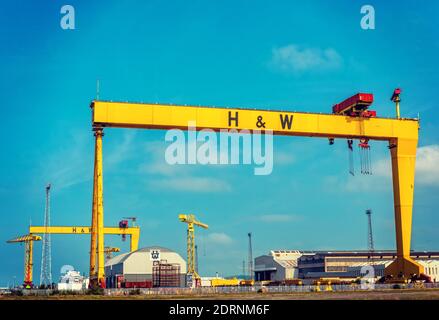 The Samson (furthest) and Goliath iconic gantry cranes at Harland & Wolff shipyard, Belfast, Northern Ireland. These huge structures, reminiscent of t Stock Photo
