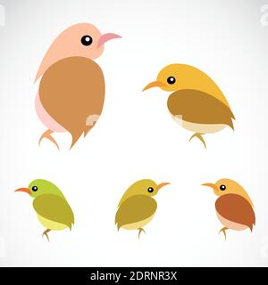Vector image of an sparrow on a white background Stock Vector