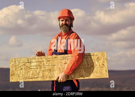 Engineered wood product. Assemble temporary equipment or structures. Renovation services. Man carry fiberboard. Fiberboard used in residential and commercial construction. Set up scaffolding. Stock Photo