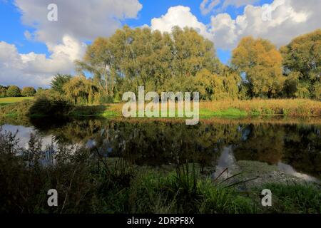 View over Gunwade Lake, Ferry Meadows country park, Peterborough, Cambridgeshire, England, UK Stock Photo