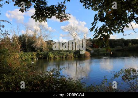 View over Gunwade Lake, Ferry Meadows country park, Peterborough, Cambridgeshire, England, UK Stock Photo