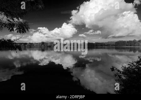 View over Gunwade Lake, Ferry Meadows country park, Peterborough, Cambridgeshire, England, UK Stock Photo