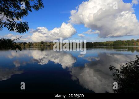 View over Gunwade Lake, Ferry Meadows country park, Peterborough, Cambridgeshire, England, UK Stock Photo