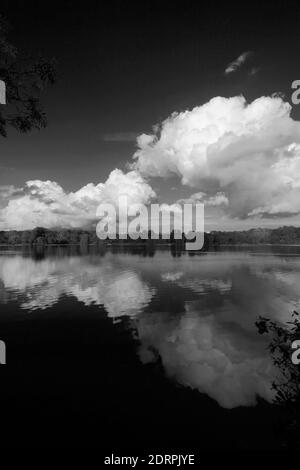 View over Gunwade Lake, Ferry Meadows country park, Peterborough, Cambridgeshire, England, UK Stock Photo