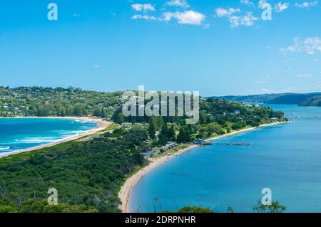 Curve and round of palm beach Stock Photo