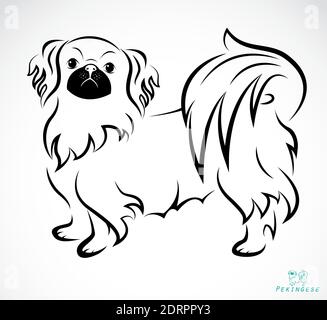 Vector image of an Dog (Pekingese) on white background. Easy editable layered vector illustration. Animals. Pets. Stock Vector
