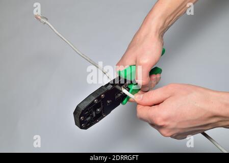 Cutting computer network cable mites Stock Photo