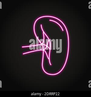 Neon spleen icon in line style. Human internal organ symbol. Vector illustration. Stock Vector