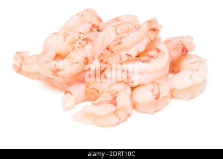 Argentinian raw peeled red shrimp isolated on a white studio background. Stock Photo