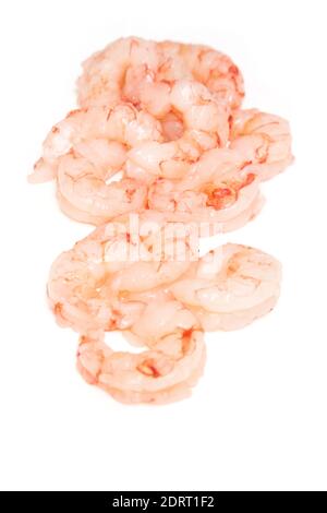 Argentinian raw peeled red shrimp isolated on a white studio background. Stock Photo