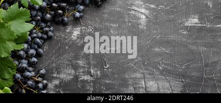 Black juicy grapes on vintage dark concrete background. Frame made of grapes. Copy space for text or menu on black scuffed background. Long web banner Stock Photo