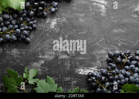 Black juicy grapes on vintage dark concrete background. Frame made of grapes. Copy space for text or menu on black scuffed background. Stock Photo