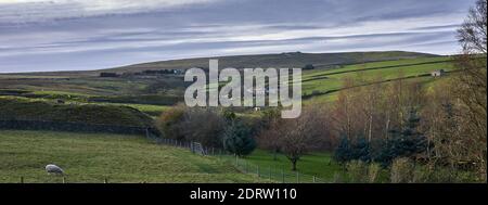 Looking west along Moorhouses valley in Nidderdale Stock Photo