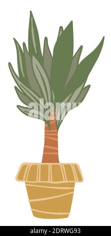 Decorative flora houseplant in pot, decor for home Stock Vector