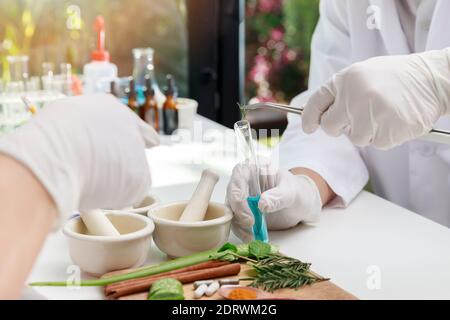 Herbal medicine preparation with fresh herbs and dried flowers used in natural alternative remedies. The scientist or doctor make herbal medicine from Stock Photo