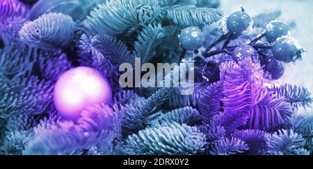 christmas fir branches decorated with baubles background toned to neon purple and blue. Stock Photo
