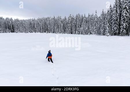 Winter day, a lot of snow, boy walking in  the snow Stock Photo