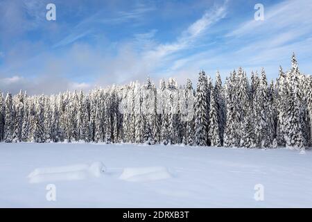 Beautiful sunny snowy day at snow covered landscape at scenic alpine meadow in winter Stock Photo