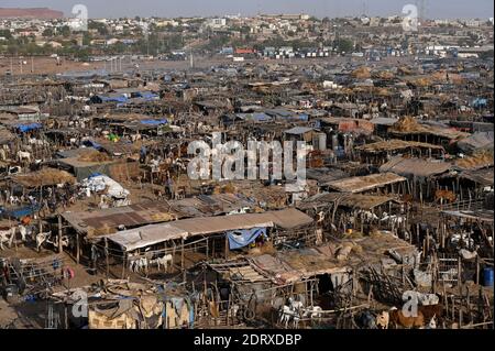 MALI, Bamako, IDP camp Faladjié, Peulh people settled here after ethnic conflicts with Dogon people in the region Mopti, cattle stable of Peulh herdsmen / Faladié, Peulh Fluechtlinge haben sich nach ethnischen Konflikten mit Dogon in der Region Mopti hier angesiedelt, Peulh mit ihren Tierherden Stock Photo