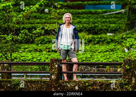 Food journalist Angela Berg in front of the wasabi fields on the Izu Peninsula, Shizuoka. Stock Photo