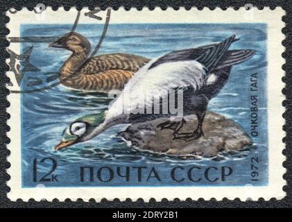 A stamp printed in USSR  shows Spectacled Eider (Somateria fischeri), from series waterfowl, USSR, 1972 Stock Photo