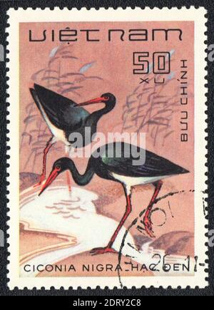 A stamp printed in Vietnam shows Black Stork (Ciconia nigra), from series, 1980 Stock Photo