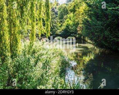 The pretty stone bridge over the River Coln at Ablington in the Gloucestershire Cotswolds. Stock Photo