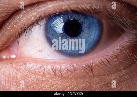 Close-up blue human eye. Handsome man's eye. Stock Photo