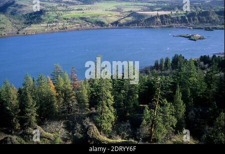 Memaloose Island from Memaloose Viewpoint, Memaloose State Park, Columbia River Gorge National Scenic Area, Oregon Stock Photo