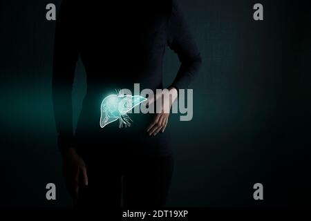 Illustration of liver on dark blue background. Human anatomy Stock ...