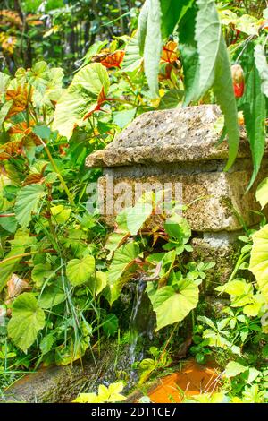 A small Chinese stone sculpture, stone temple, hides a water feature. The water splashes into a channel in front of it. The work of art has grown in Stock Photo