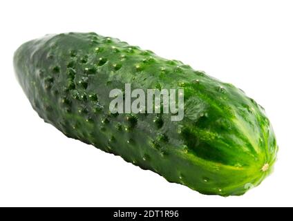 Fresh cucumber on a white background isolate Stock Photo