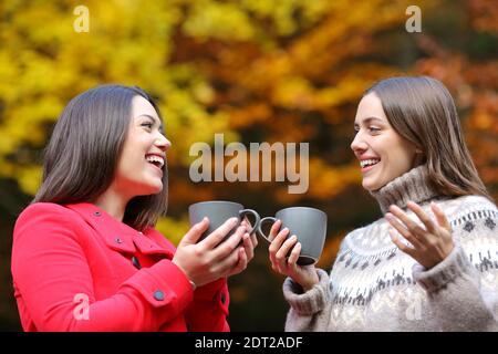 Happy friends talking with coffee mugs standing in a park in winter Stock Photo