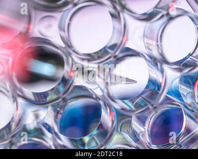 Scientist pipetting a sample into a multi well plate during an experiment in the lab Stock Photo