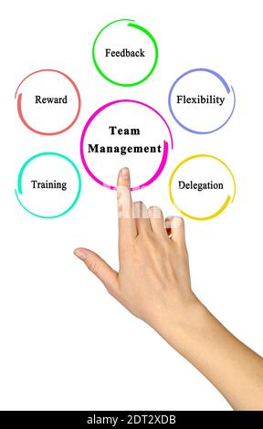 Five Principles of Team Management Stock Photo