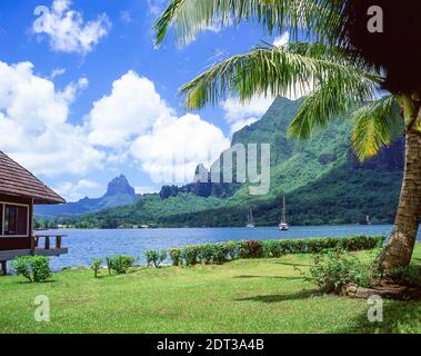 Captain Cook's Bay, Moorea, Tahiti, French Polynesia Stock Photo