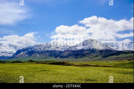 Snow line on mountains ending at prairie grass under blue sky and clouds, near Waterton Lakes, Alberta, Canada. Stock Photo