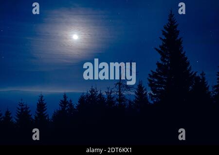 Midnight moon with silhouette of forrest Stock Photo