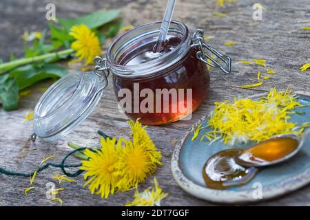 common dandelion (Taraxacum officinale), home made dandelion blossom honey, Germany Stock Photo