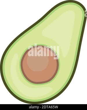 avocado with a green color Stock Vector