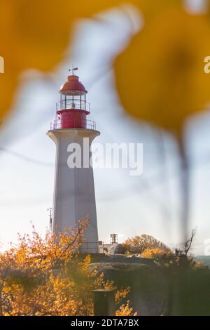 Beautiful Lighthouse on the rocky shore, view through yellow leaves. West Vancouver, British Columbia, Canada-November 7,2020. Selective focus, travel Stock Photo