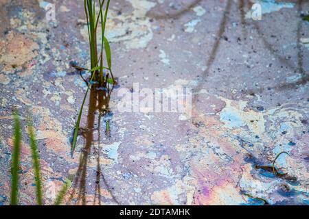 Polluted water waste close up, save earth concept, people destroying mother nature. Stock Photo