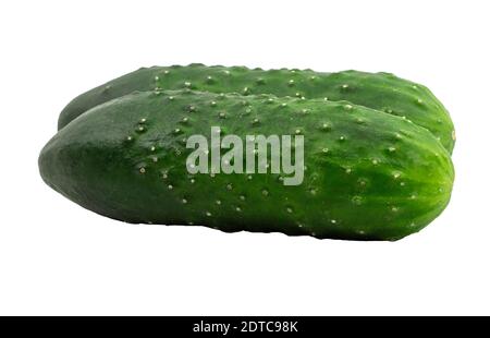 Two fresh cucumbers on a white background isolate Stock Photo