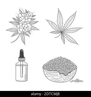 Marijuana or cannabis set: hemp leaf, seeds, oil, cones and inflorescence. Vector illustration in hand drawn line sketch on white background Stock Vector