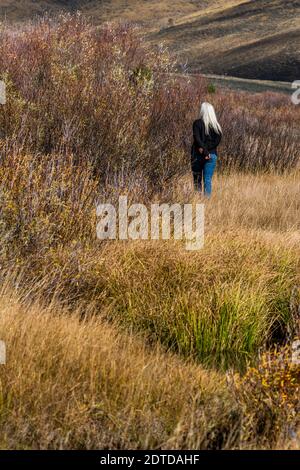 USA, Idaho, Stanley, Senior woman with long white hair walking by stream among grass in non urban landscape Stock Photo