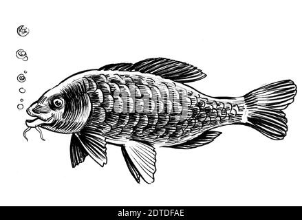 Hands Holding Big Fish Outline-vector Drawing Stock Vector (Royalty Free)  467184863 | Shutterstock